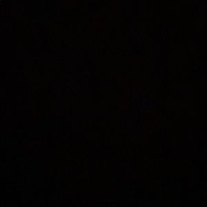 Meet your Posher, Ribosome